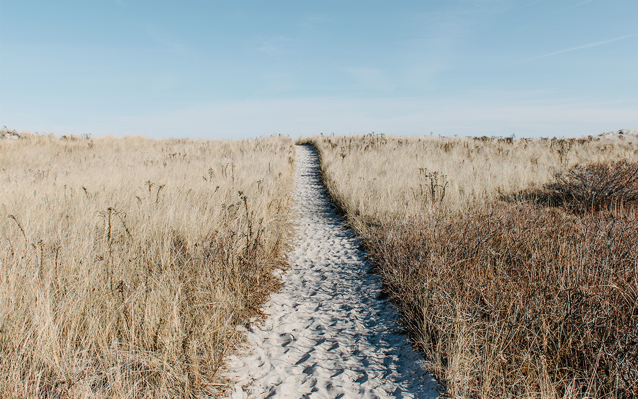 kleiner Pfad am Stran